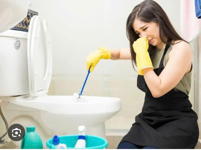 z7471237233081 3c7b2951e571aac895e3531c502f989d